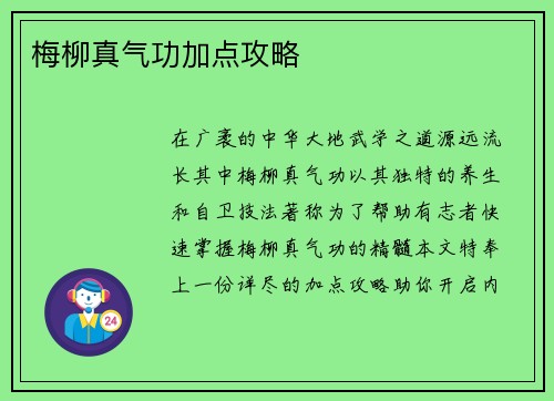 梅柳真气功加点攻略